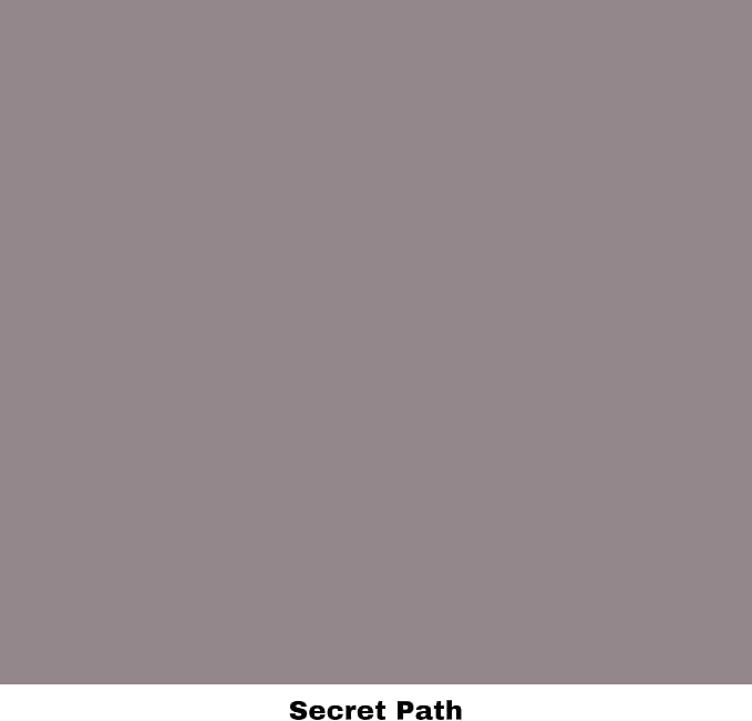 Dixie Belle Paint Company Chalk Finish Furniture Paint – Secret Path – Matte - Image 8