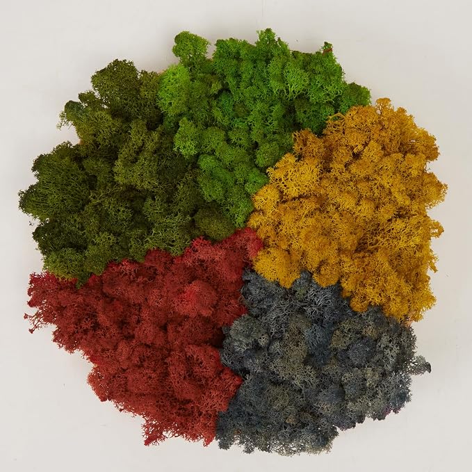 Preserved Reindeer Moss Natural Green DIY Kit Gardenning Art Wall Decor Florist by %E7%8E%B0%E5%9C%A8%E8%B4%AD%E4%B9%B0
