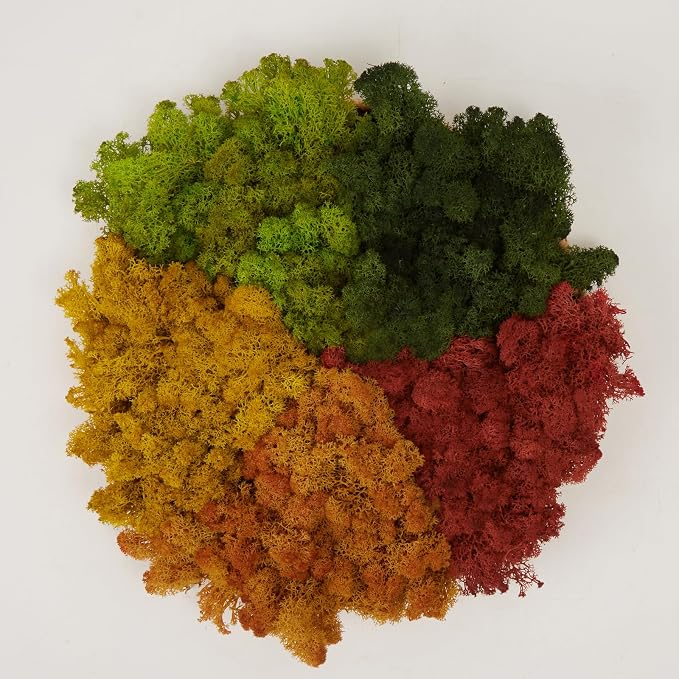 Preserved Reindeer Moss Natural Green DIY Kit Gardenning Art Wall Decor Florist by %E7%8E%B0%E5%9C%A8%E8%B4%AD%E4%B9%B0