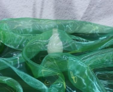 Two-Tone Iridescent Holographic Organza Fabric - Image 8