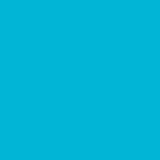 Ant Smart Adhesive Permanent Vinyl Compatible - Image 2