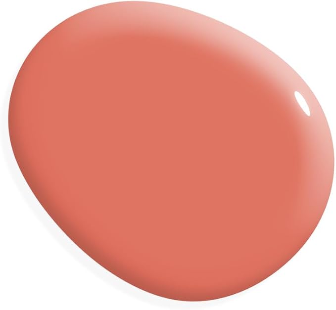 AMY HOWARD AT HOME Chalk-Based One Step Paint by AMYHOWARDATHOME