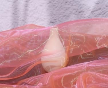 Two-Tone Iridescent Holographic Organza Fabric - Image 9