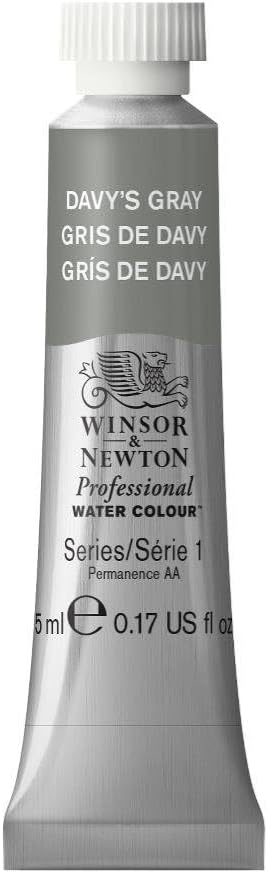 Winsor & Newton Professional Water Colour Paint, 0.17-oz Tube, Davy's Gray by WinsorNewton
