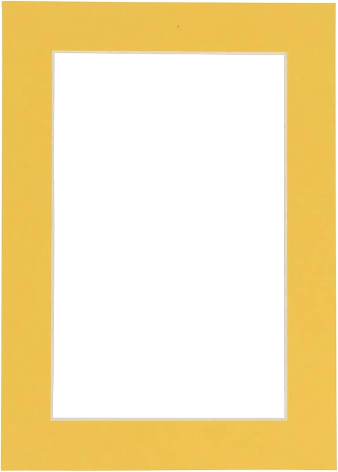 8x10 Mat Bevel Cut for 5.5x8.5 Photos by Poster+Palooza