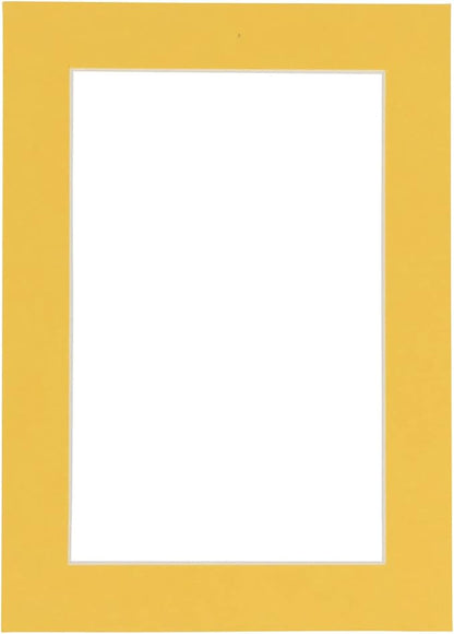 8x10 Mat Bevel Cut for 5.5x8.5 Photos by Poster+Palooza