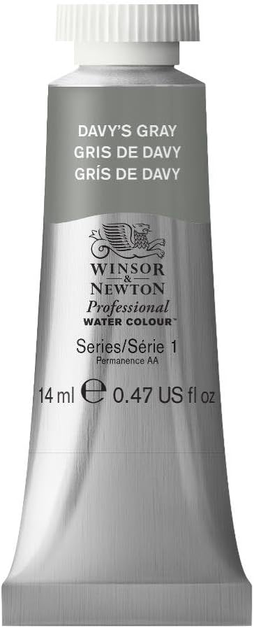 Winsor & Newton Professional Watercolor, 14ml Tube, Davy's Gray by WinsorNewton