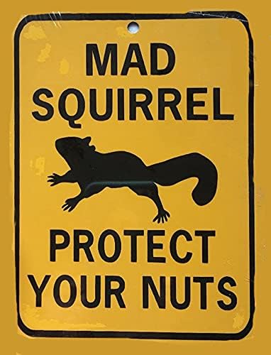 Funny Tin Sign Mad Squirrel Protect Your Nuts Metal Poster Plaques by HERYNLRN