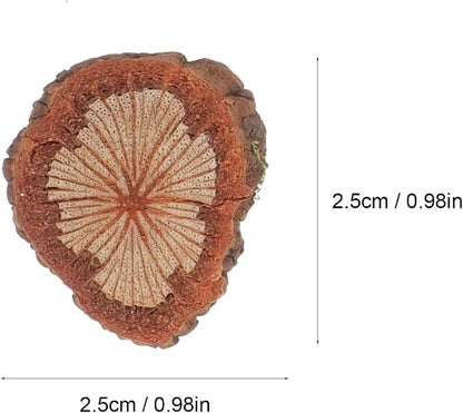 GALPADA Christmas Tree Bark Wood Slices Xmas Ornaments Mini Natural Vintage - Image 4