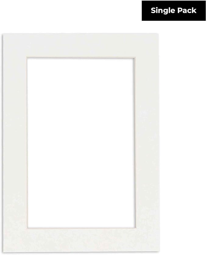 Poster Palooza 8.5x11 Mat Bevel Cut - Image 2