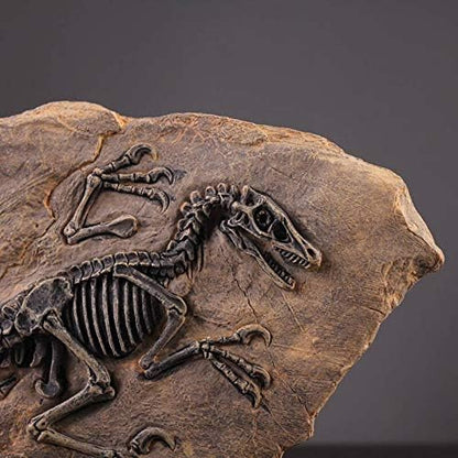 XINDAM Resin Dinosaur Fossil Statue Model Simulated Skeleton Home Office - Image 4
