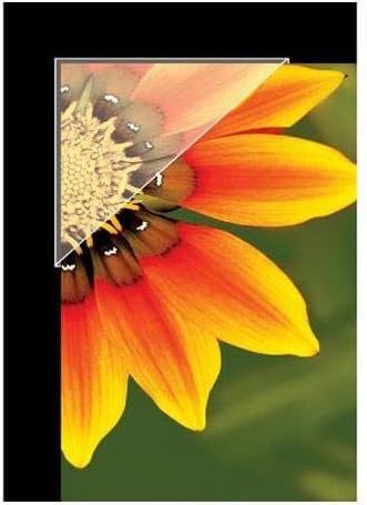 Lineco Archival Polypropylene Mounting Corners, Acid-Free Self-Adhesive - Image 2
