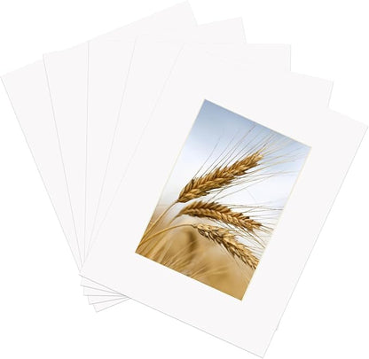 ZBEIVAN 8x10 White Picture Mats by ZBEIVAN