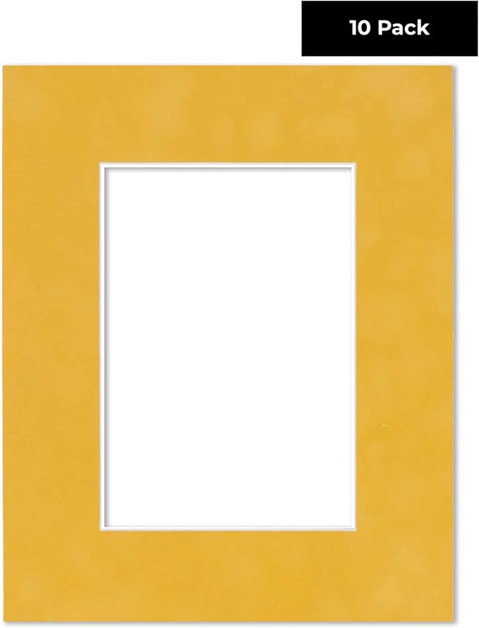 Pack of TEN 8x10 Mats Bevel Cut - Image 2
