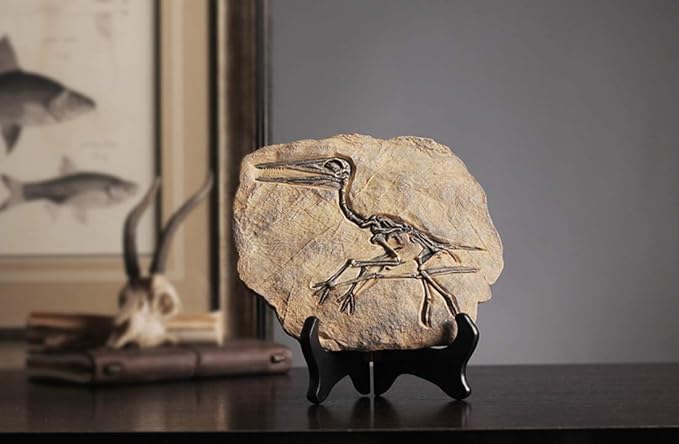 XINDAM Resin Dinosaur Fossil Statue Model Simulated Skeleton Home Office - Image 3