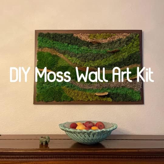 Preserved Reindeer Moss Natural Green DIY Kit Gardenning Art Wall Decor Florist - Image 8