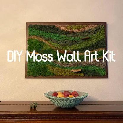Preserved Reindeer Moss Natural Green DIY Kit Gardenning Art Wall Decor Florist - Image 8
