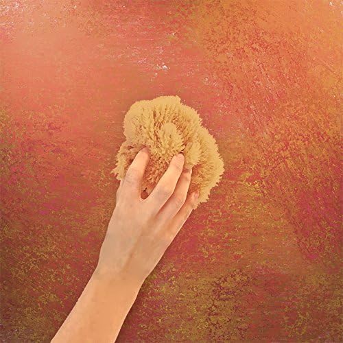 Natural Sea Sponges for Artists - Image 5