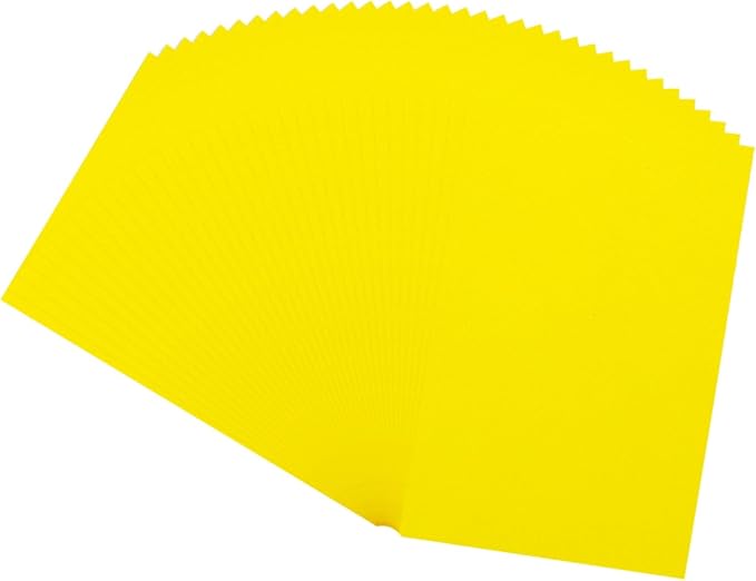 MECCANIXITY 100 Sheet Colored Vellum Paper 4" x 6", 100gsm Translucent by MECCANIXITY