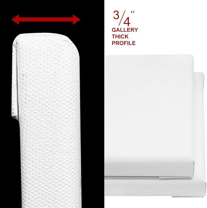 PHOENIX Professional Stretched Canvas - Image 3