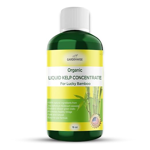 Organic Premium Kelp Seaweed Liquid Fertilizer by GARDENWISE