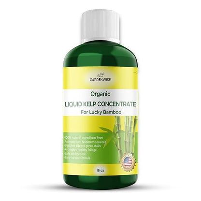 Organic Premium Kelp Seaweed Liquid Fertilizer by GARDENWISE