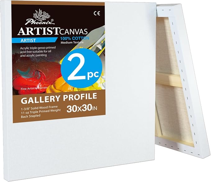 PHOENIX 30x30 Inch 2 Pack Gallery Canvas by PHOENIX