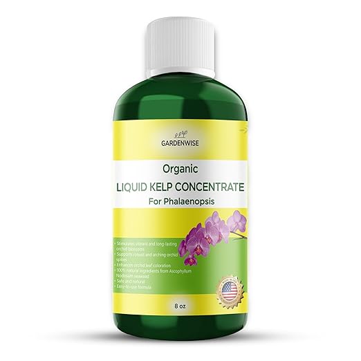 Organic Premium Kelp Seaweed Concentrate: Fertilizer by GARDENWISE