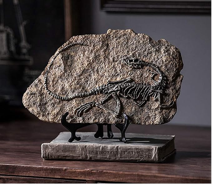 XINDAM Resin Dinosaur Fossil Statue Model Simulated Skeleton Home Office - Image 2