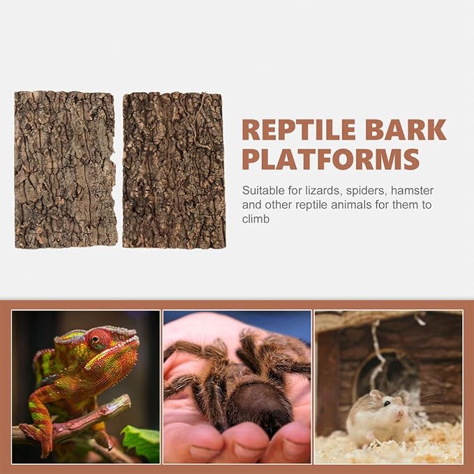 Totority Cork Bark 3Pcs Plants Decor Cork Terrarium Background, Cork Tile - Image 3