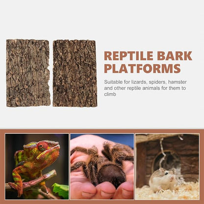 Totority Cork Bark 3Pcs Plants Decor Cork Terrarium Background, Cork Tile - Image 3