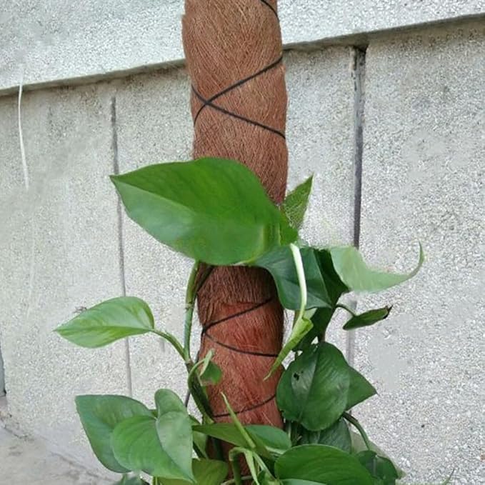 VOSAREA 5 Sheets Fake Tree Barks Coconut Bark Decoration Garden Background Bark - Image 9
