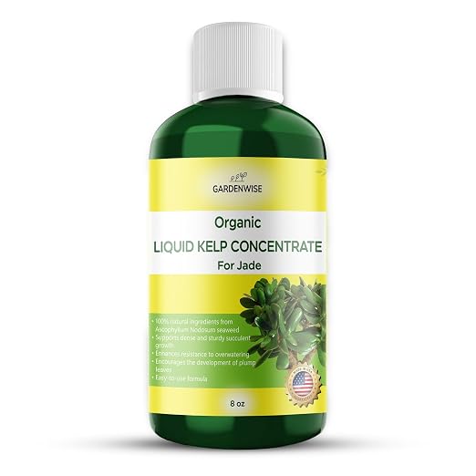 Organic Premium Kelp Seaweed Concentrate by GARDENWISE