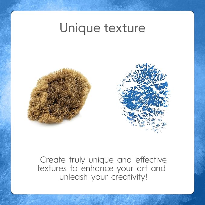 NAROA Natural Artist Sea Sponges - Image 2