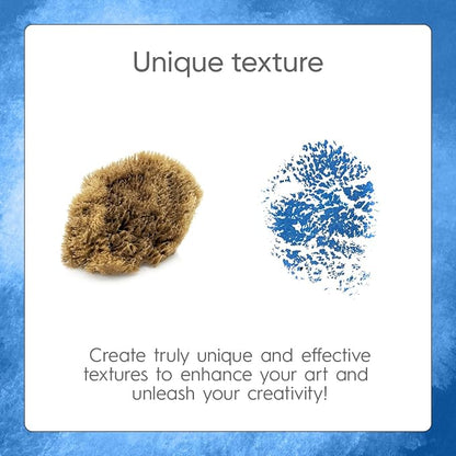 NAROA Natural Artist Sea Sponges - Image 2