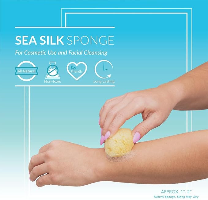 Sea Silk Sponge 6pc Kit, Hand Cut, Approx. 1-2 inches - Image 5