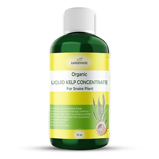 Organic Seaweed Kelp Liquid Fertilizer by GARDENWISE
