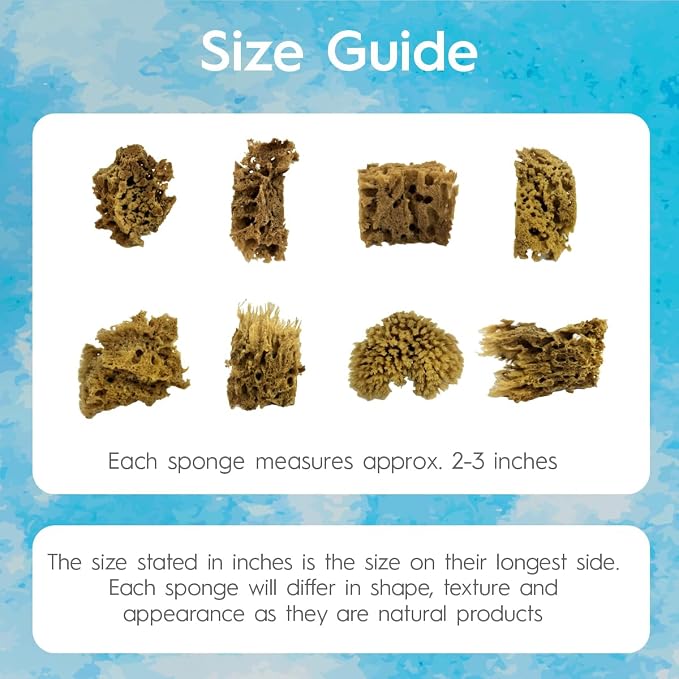 NAROA Artist Natural Sea Sponges - Image 3