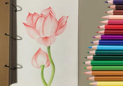 SKKSTATIONERY 50Pcs Colored Pencils, 50 Vibrant Colors, Drawing Pencils - Image 6