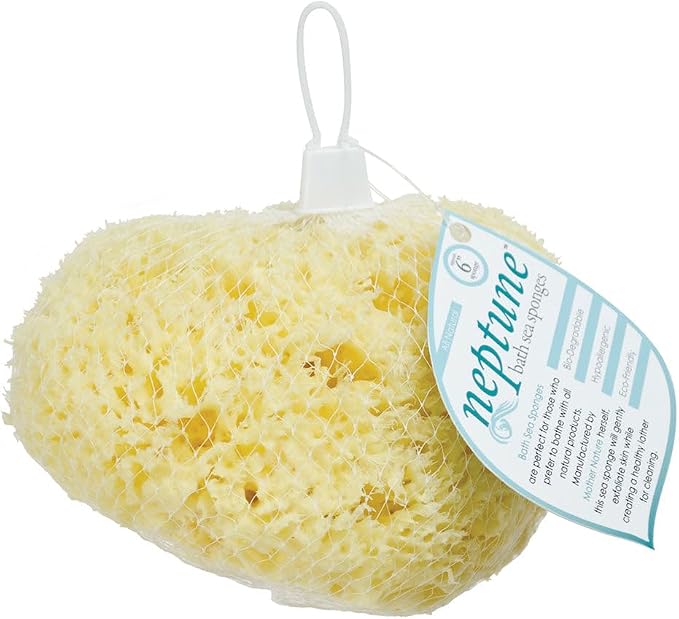 Neptune Natural Sea Wool Sponge - Image 4