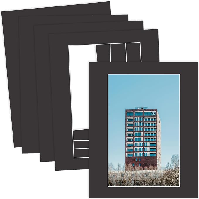 MBC Mat Board Center, 5 Pack 16x20 by MatBoardCenter
