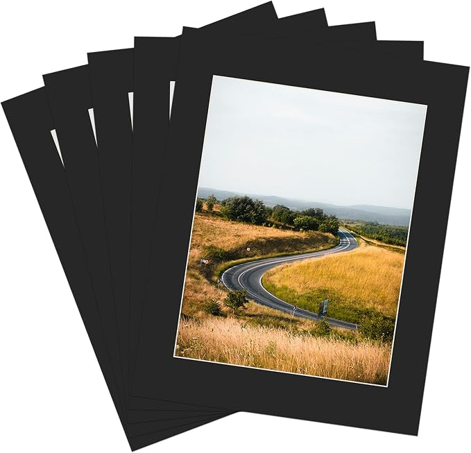 ZBEIVAN 11x14 Black Picture Mats by ZBEIVAN