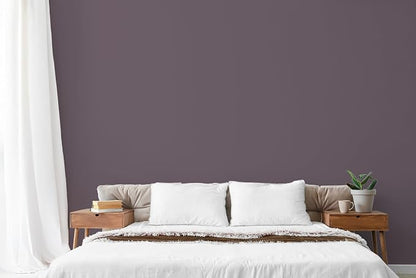 EVOLVE Paint & Primer: Environment-friendly, Low Sheen - Image 4