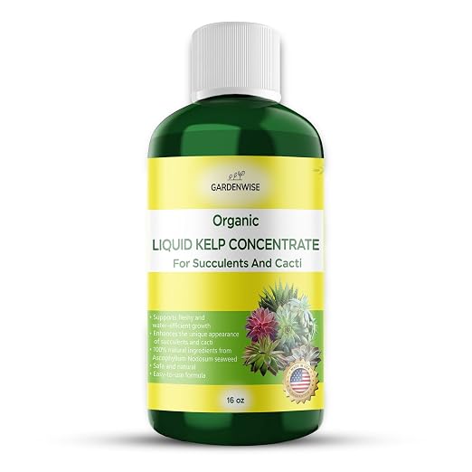 Organic Kelp Seaweed Fertilizer: Premium Succulent and Cactus Food by GARDENWISE