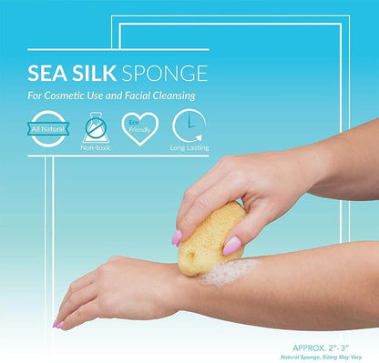 Sea Silk Sponge 2pc Kit, Hand Cut, Approx. 2-3 inches - Image 5
