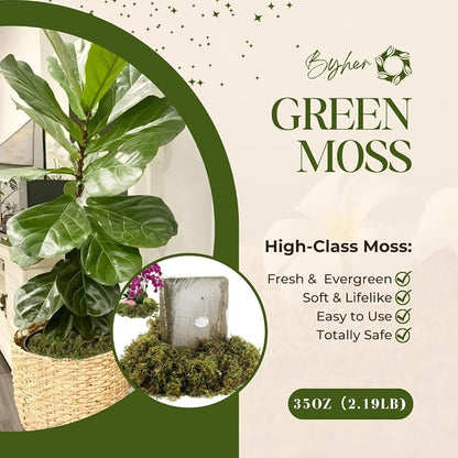 BYHER 35 OZ Large Capacity Fake Moss - Image 2