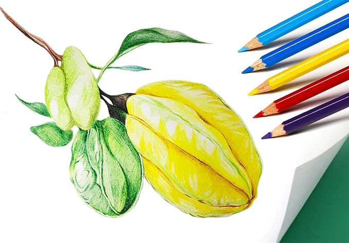 SKKSTATIONERY 144Pcs Colored Pencils, Pre-sharpened, coloring pencils - Image 5