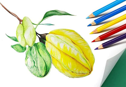 SKKSTATIONERY 144Pcs Colored Pencils, Pre-sharpened, coloring pencils - Image 5
