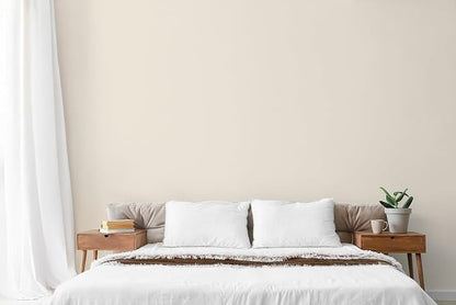 EVOLVE Paint & Primer: Environment-friendly, Low Sheen - Image 4