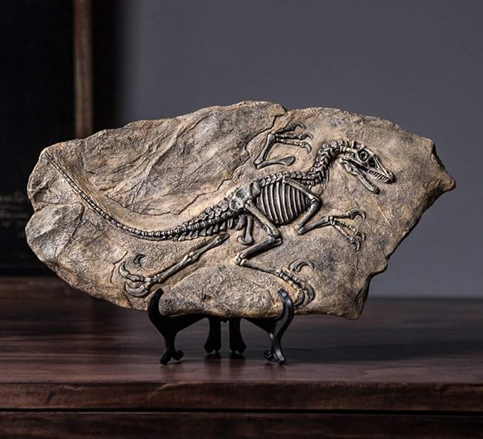 XINDAM Resin Dinosaur Fossil Statue Model Simulated Skeleton Home Office - Image 2